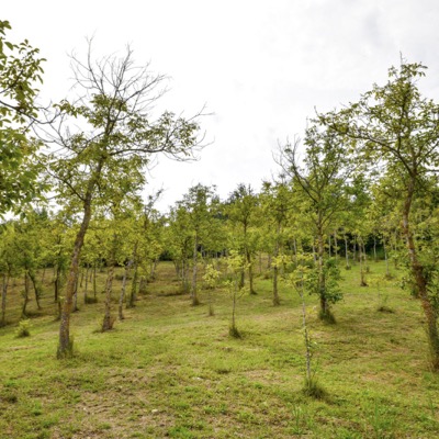 Masseria Acquasalsa Isernia | Foto55