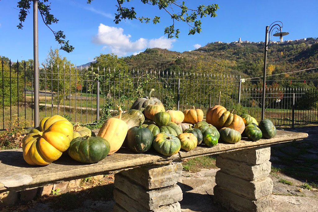 Masseria Acquasalsa Isernia | Lavori in fattoria